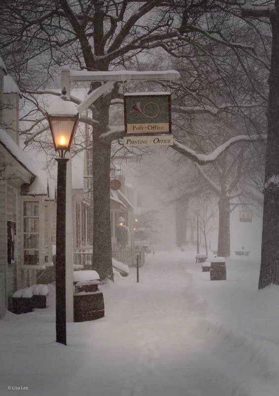 a street light covered in snow next to trees