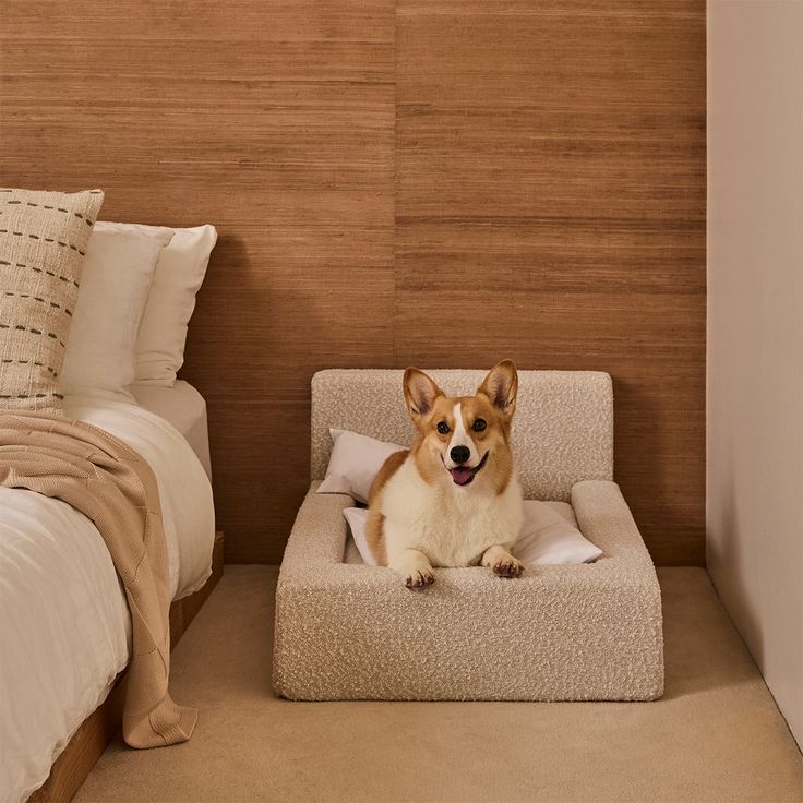 a corgi dog sitting on his bed in the corner of a room with two beds