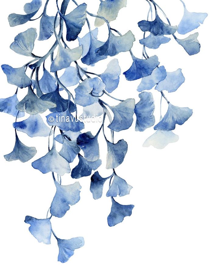 watercolor painting of blue flowers on white background