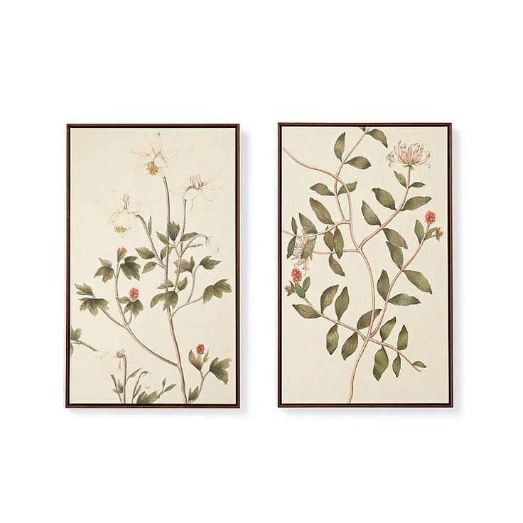 two framed paintings with flowers and leaves on them