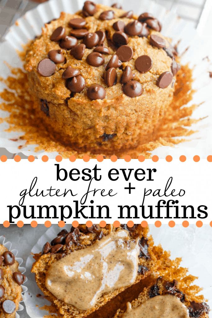 the best ever gluten free palen pumpkin muffins with chocolate chips on top