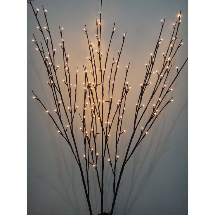 lighted branches in a vase against a wall