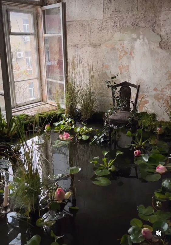 a room filled with water lilies and plants next to an open window on the wall