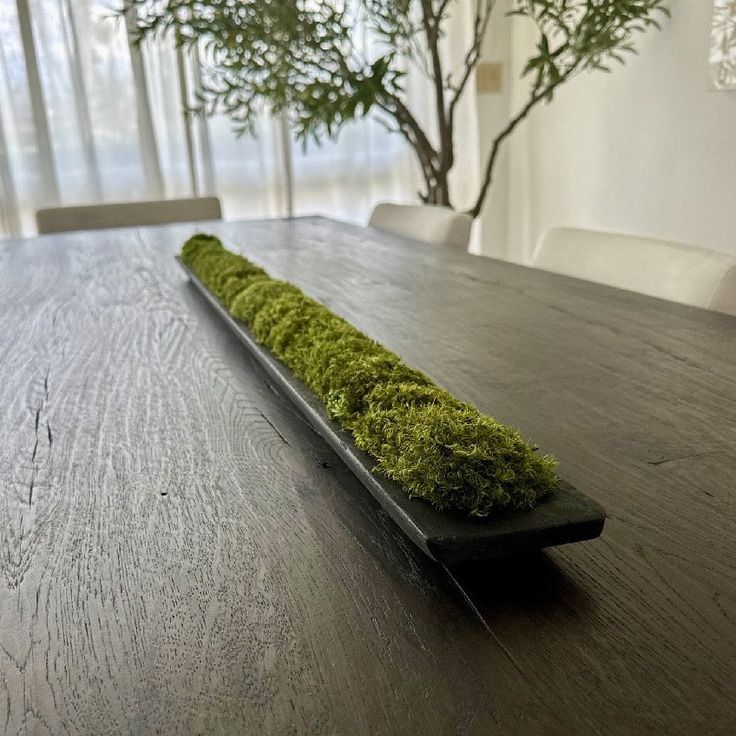 a table with moss on it and a potted plant in the middle is shown