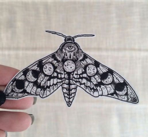 a hand holding a small black and white moth on a piece of paper with other things around it