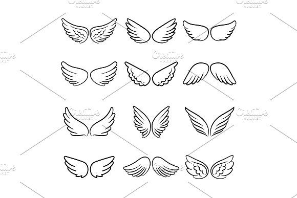 six different types of wings on a white background