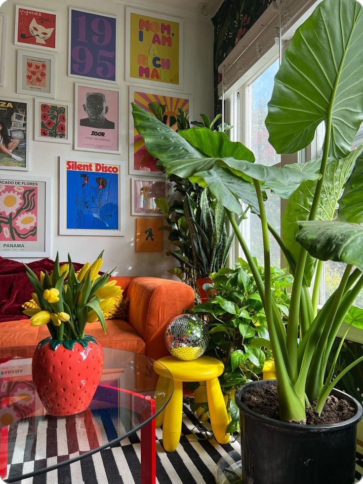 a living room filled with furniture and lots of plants