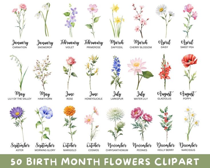 the birth month flowers clipart is shown in different colors and sizes, including pinks,