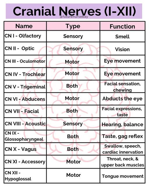 the names and functions of cranial nerves i - xiii in english