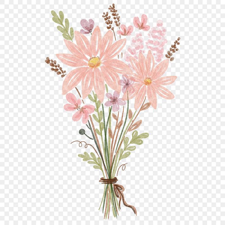 pink flowers with green leaves and brown stems on a transparent background png clipart