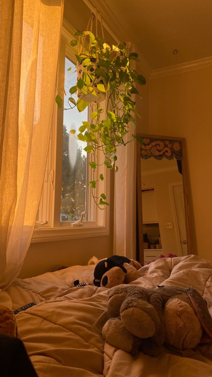 two teddy bears are laying on the bed in front of a window with white curtains