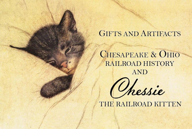 a kitten sleeping on top of a bed with the caption gifts and artifacts cheesecake & ohio railroad history and cheesie the railroad kitten