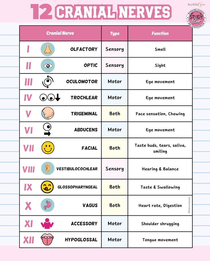 the 12 cranial neves chart is shown in pink, blue and white