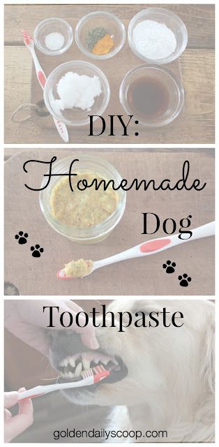 two pictures showing how to make homemade dog toothpaste for dogs and their owners