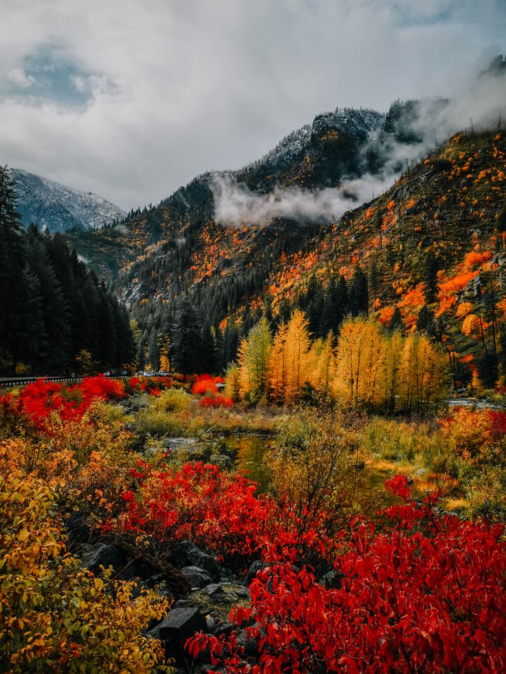 the mountains are covered in fall foliage and trees with red, yellow, green, and orange leaves