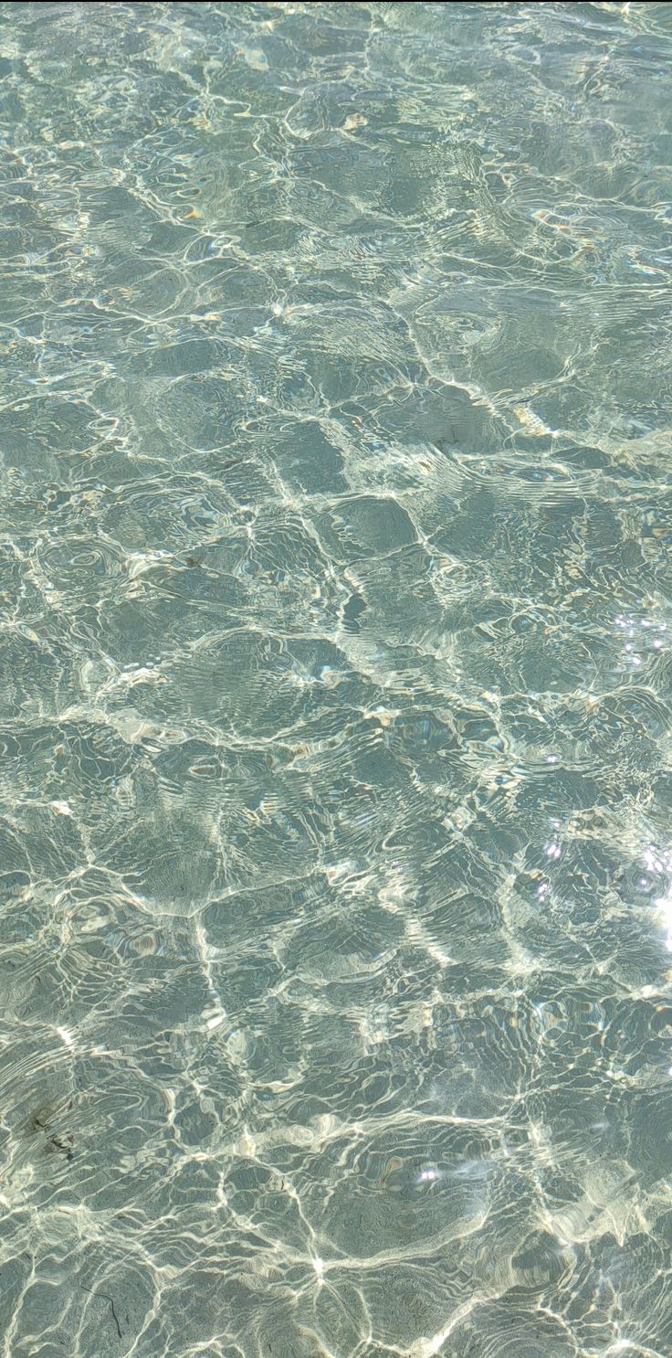 the water is very clear and blue with little ripples on it's surface