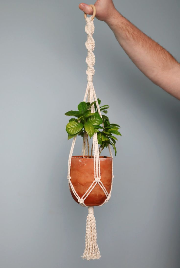 a hand holding a plant hanging from a macrame rope with a potted plant in it