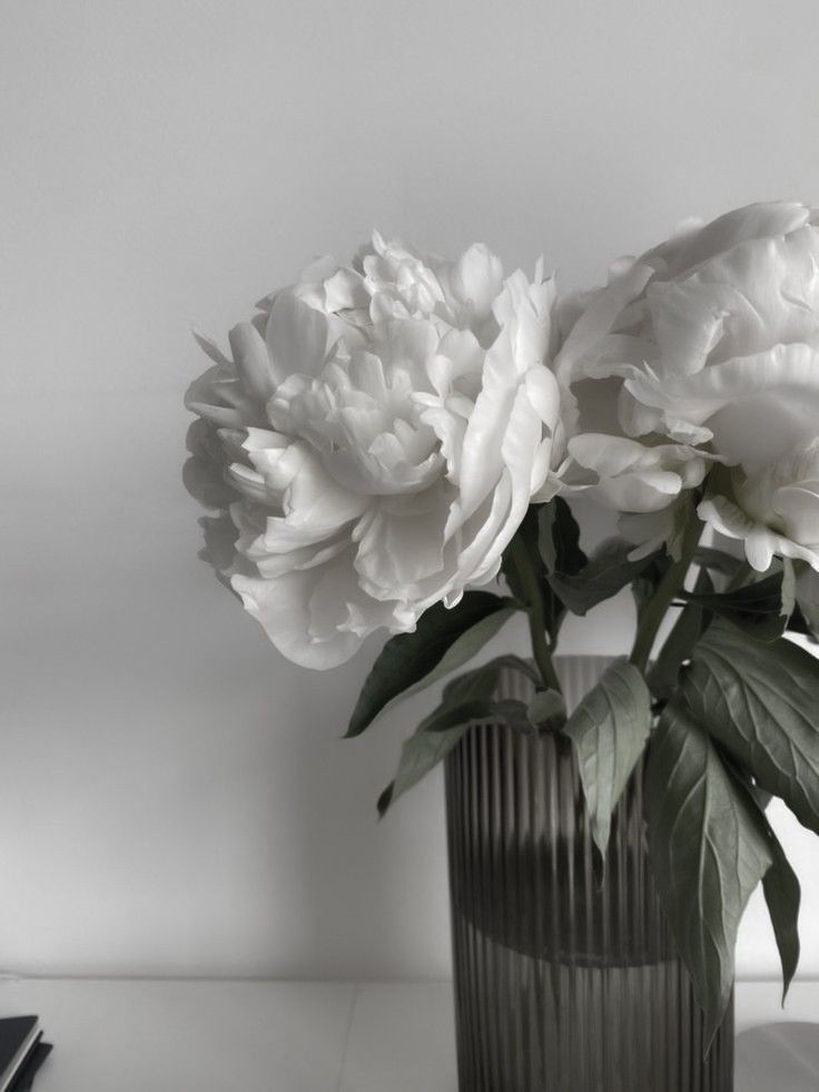 there is a vase with white flowers in it on the table next to a book