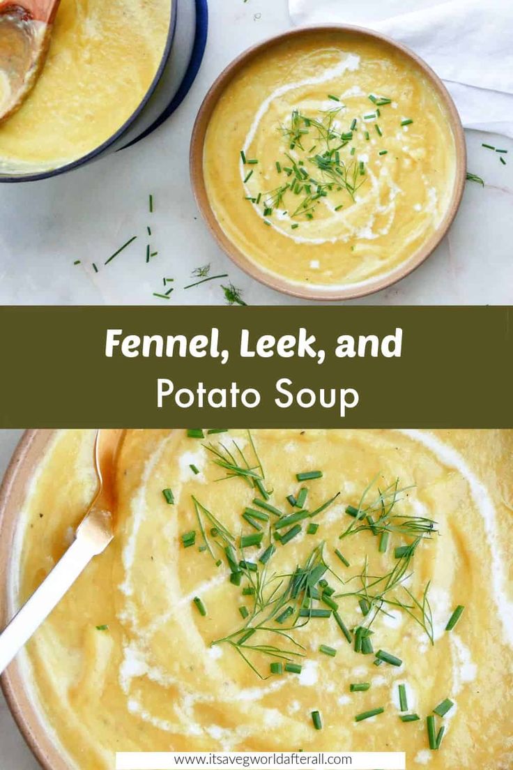 two bowls of fennel, leek and potato soup