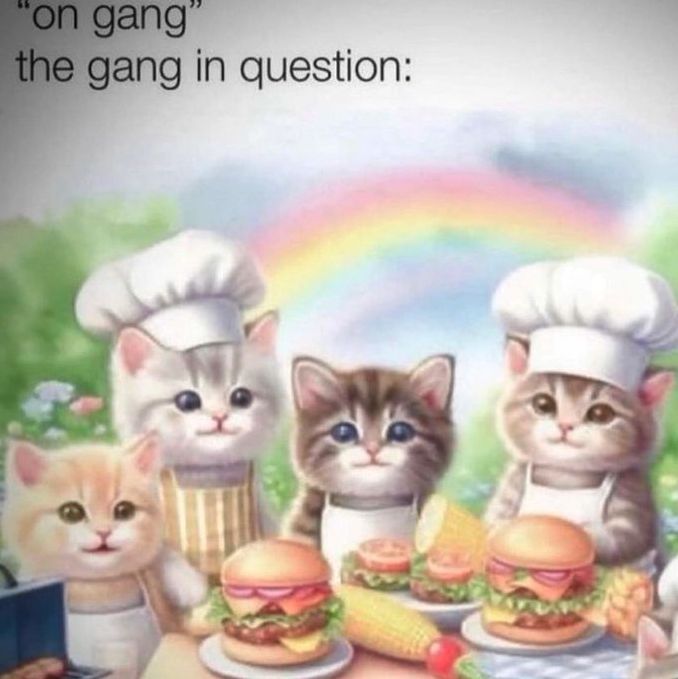 a group of cats that are standing in front of a table with food on it