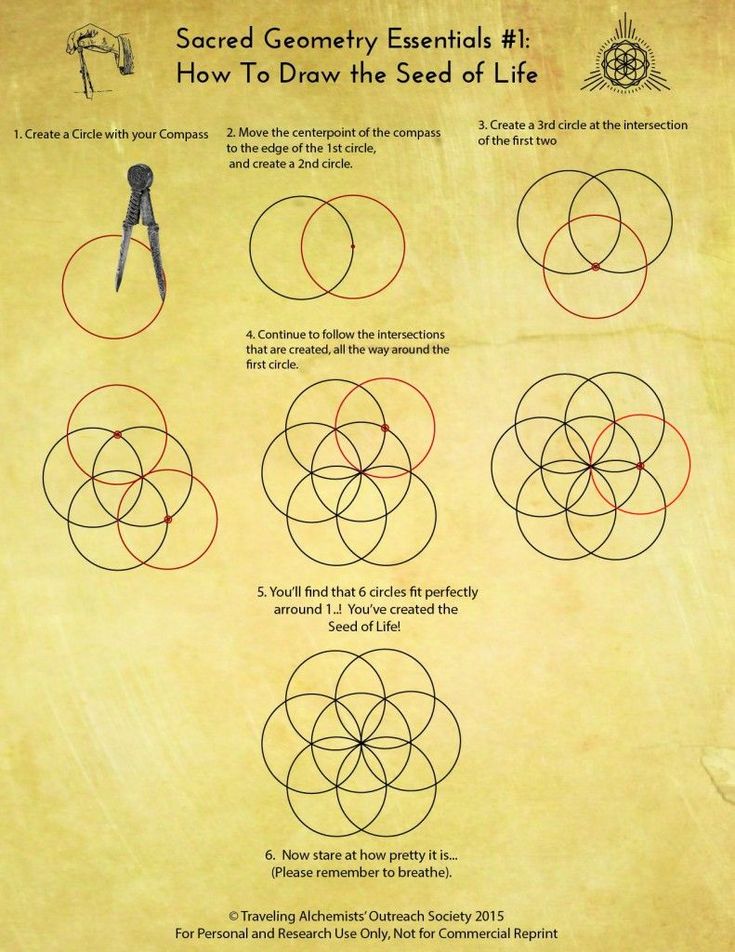 an old paper with some circles and scissors on it, as well as instructions for how to draw the seed of life