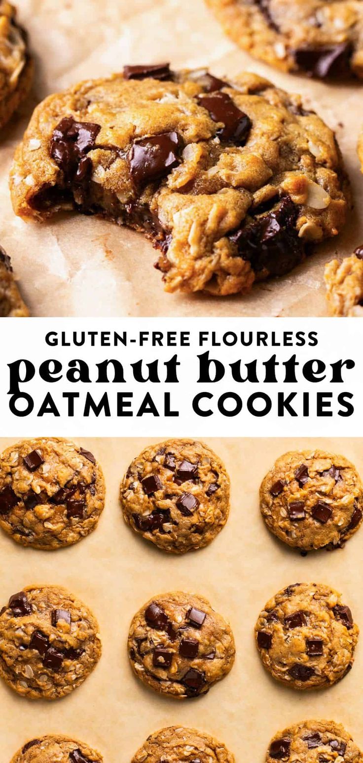 gluten - free flourless peanut butter and chocolate chip cookies