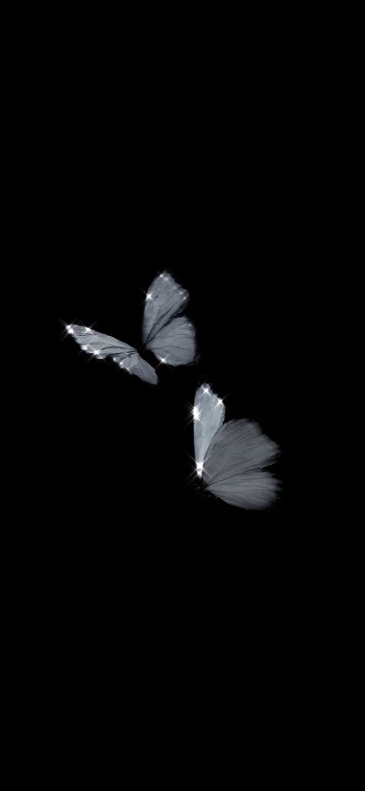 two white butterflies flying in the dark