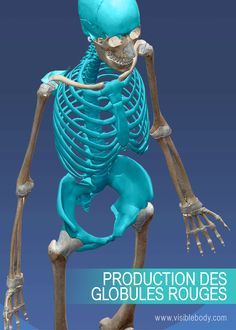 an animated skeleton is shown in this image