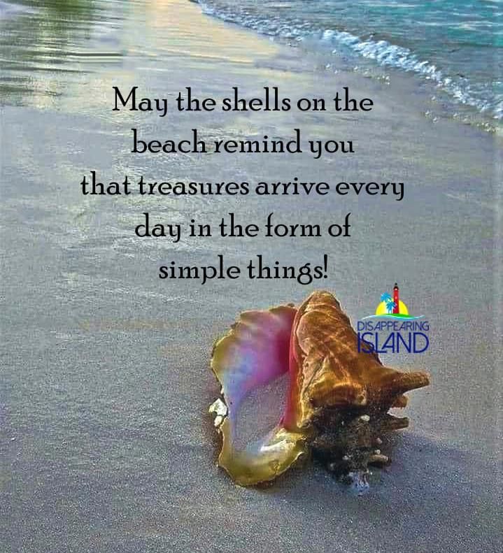 a seashell on the beach with a quote about shelling and saying, may the shells