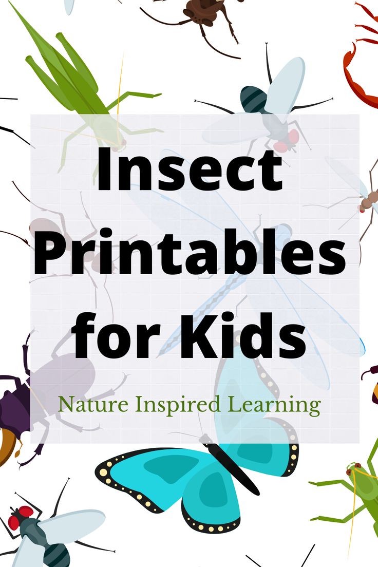 insects with the words insect printables for kids