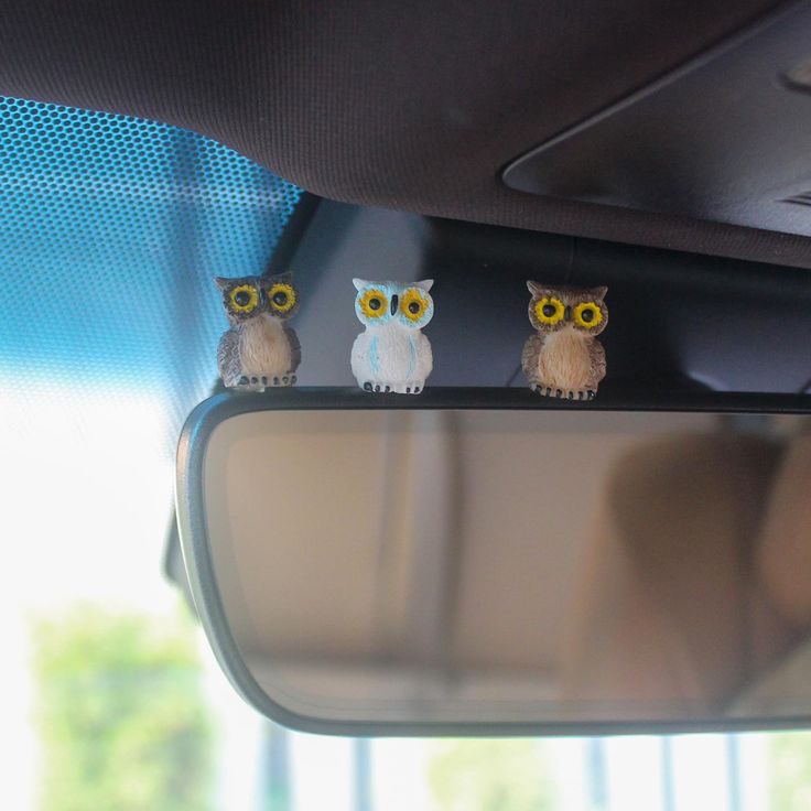 three little owls sitting on top of a car mirror