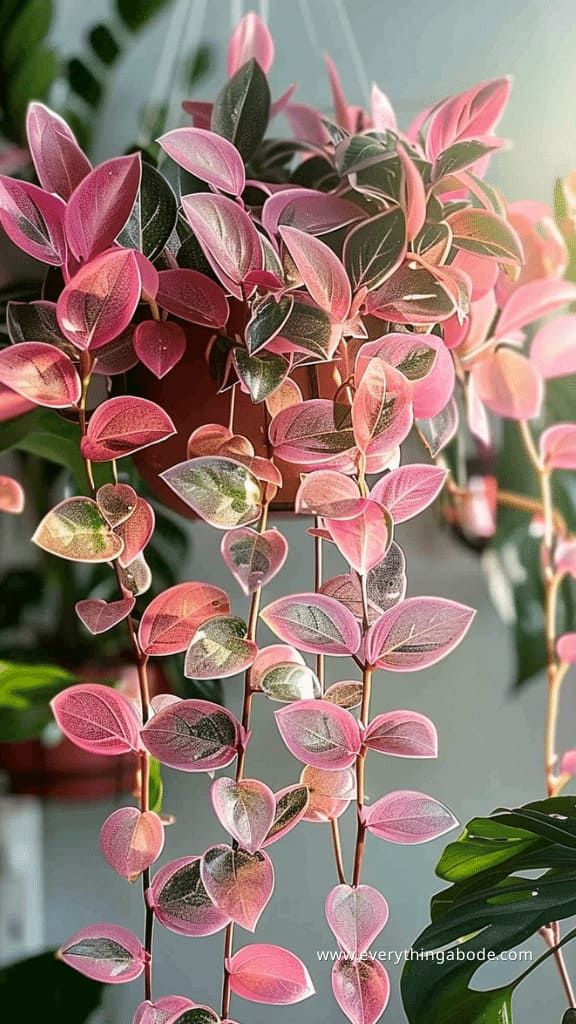 pink and green leaves hanging from a plant in a room with other plants on the wall