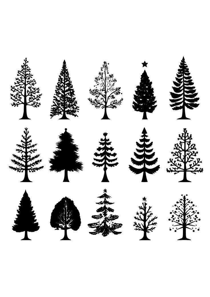 the silhouettes of different types of trees are shown in black on a white background