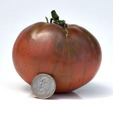 a penny sitting on top of a tomato