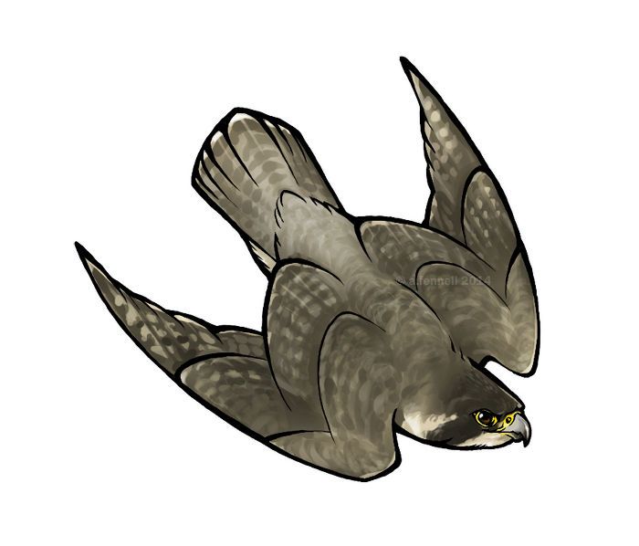 a drawing of an eagle flying in the sky with its wings spread out and it's eyes open