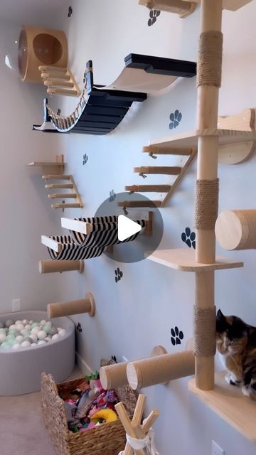 a cat sitting on top of a wooden scratching board next to a pile of balls