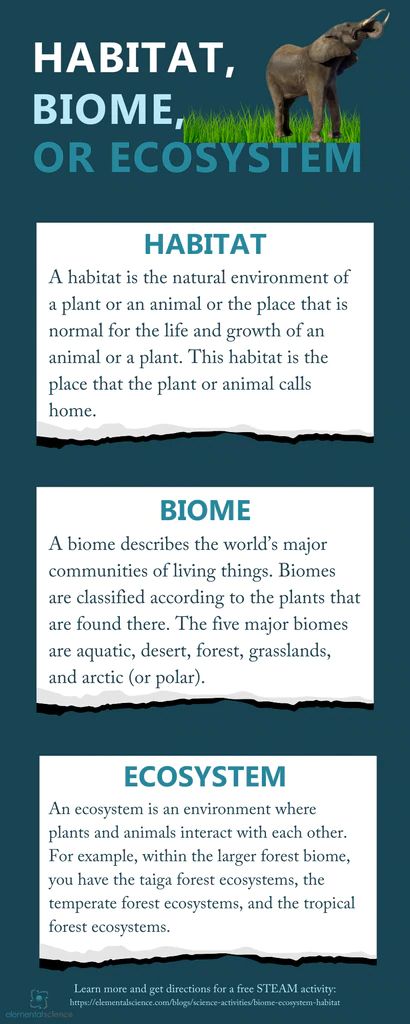 the different types of animals that live in the earth's environment are shown here