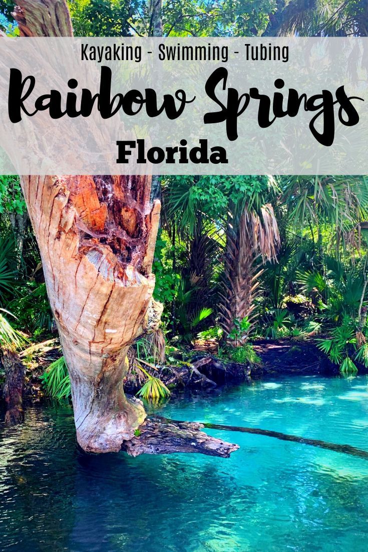 the rainbow springs in florida with text overlay