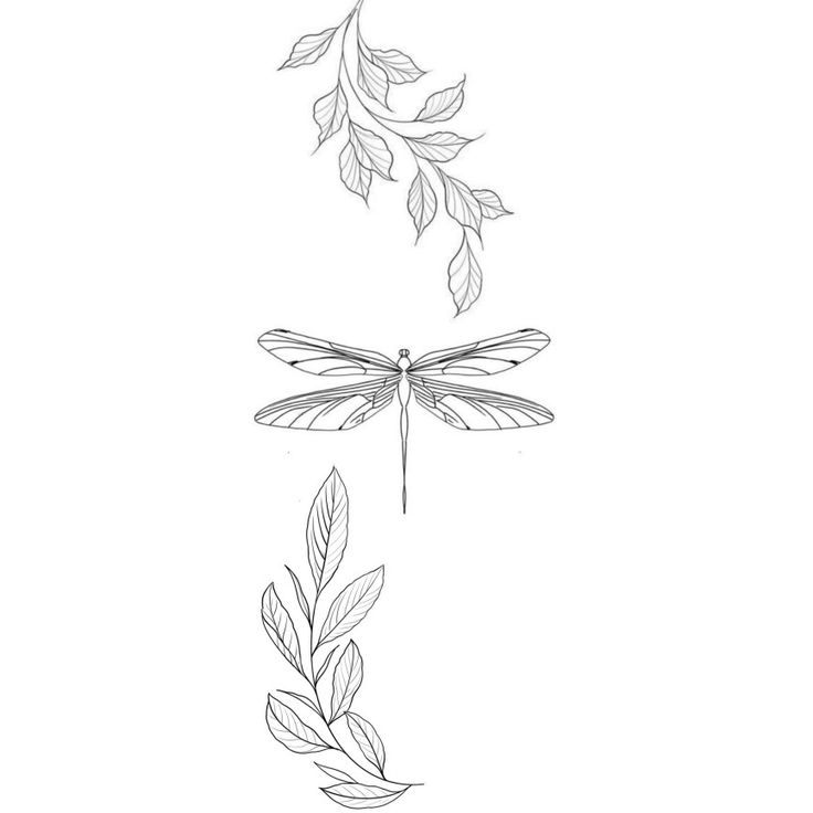 a line drawing of a dragonfly flying over leaves