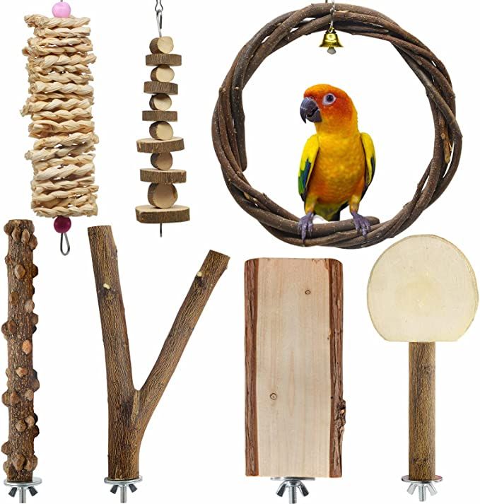 a bird sitting on top of a wooden pole next to a tree branch and other items