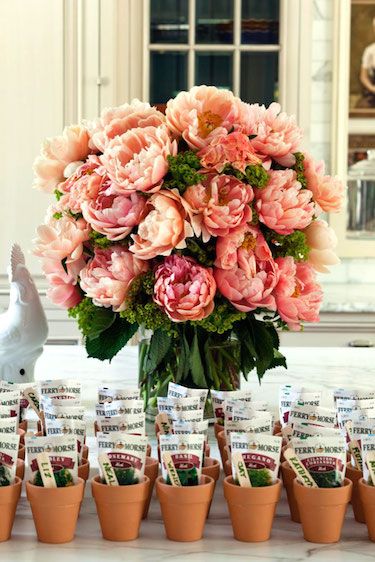 pink flowers in small pots on a table