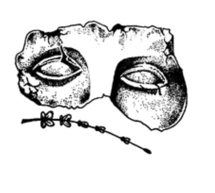 an image of two masks with eyes drawn on them