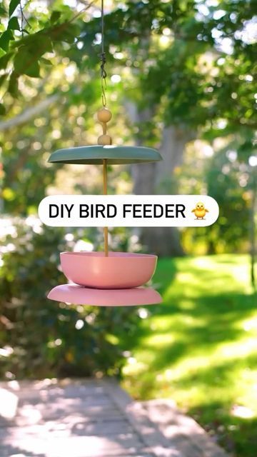 a bird feeder hanging from a tree with the words diy bird feeder on it