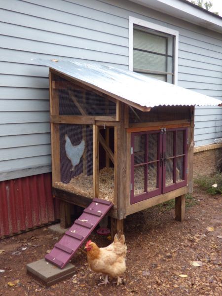 a chicken house with a ramp leading up to it's door and chickens in the coop