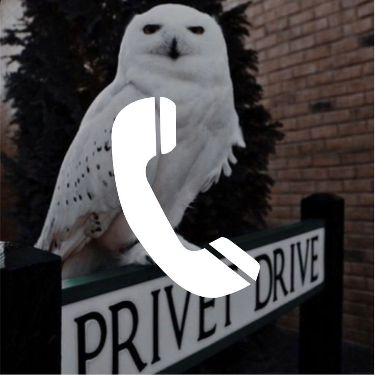 an owl is sitting on top of a phone sign with the words private drive below it