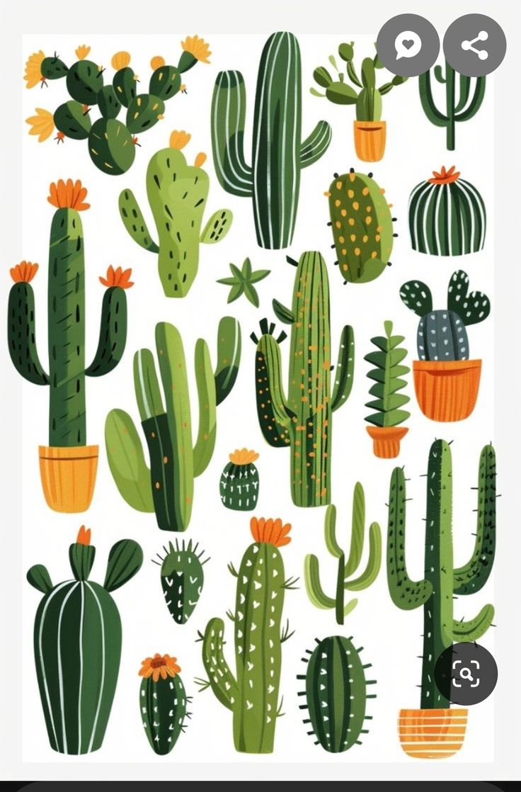 a bunch of green cactus plants on a white background