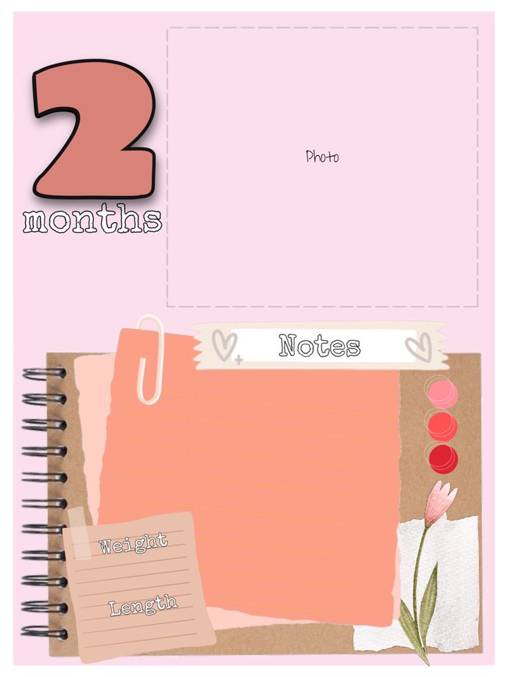 a pink notebook with the number two on it