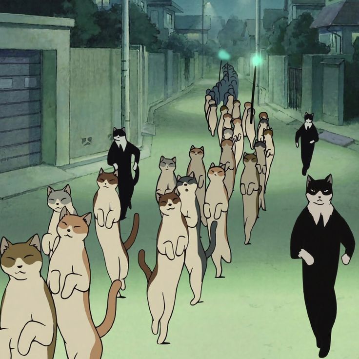 a group of cats walking down a street at night