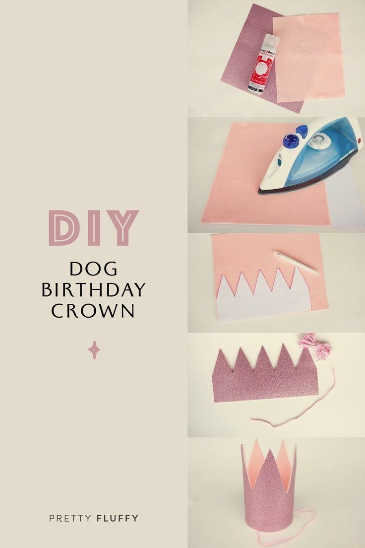 diy dog birthday crown made out of construction paper and pink glue with scissors on top