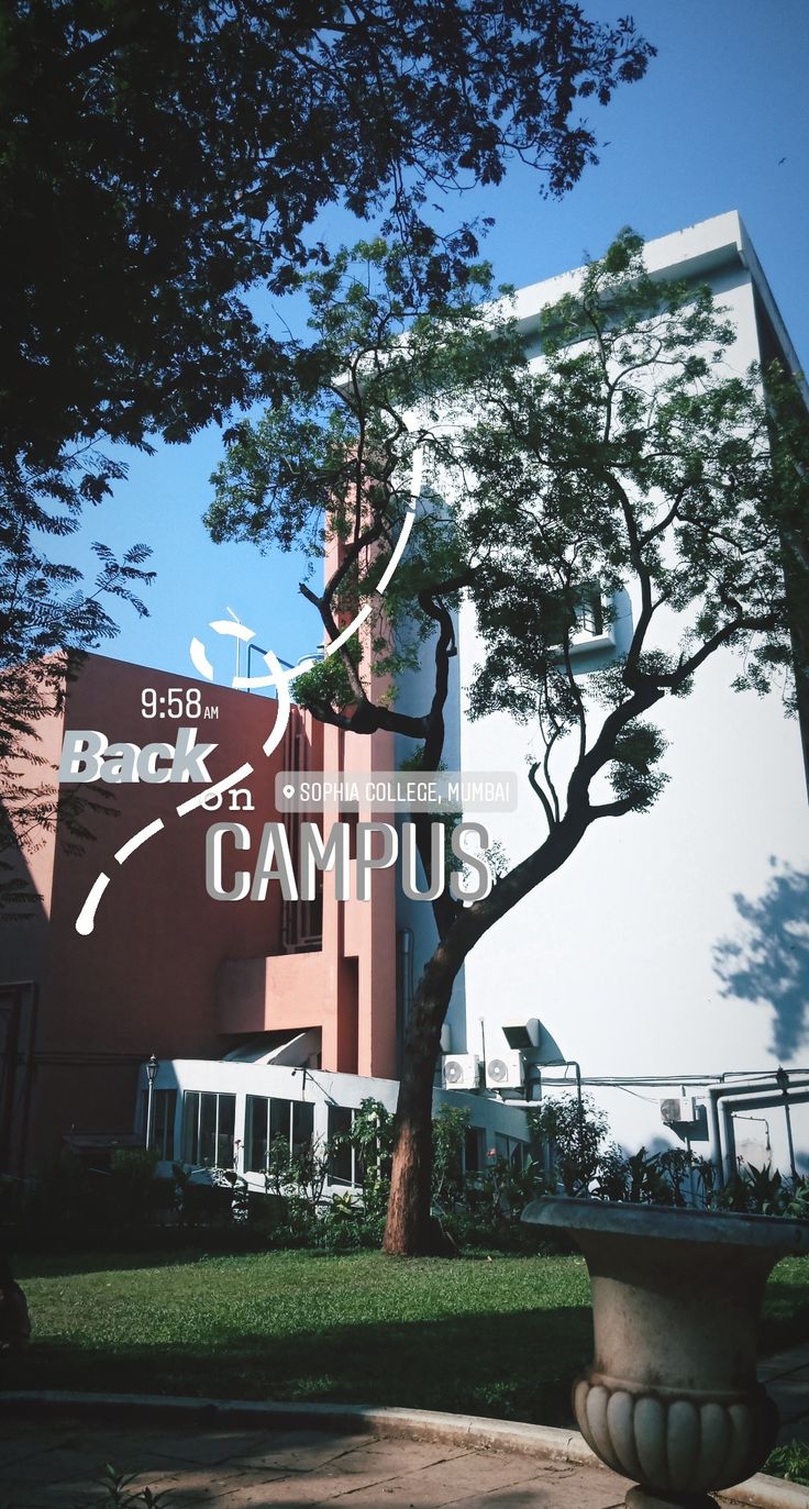 a building with a tree in front of it and the words back to campus written on it